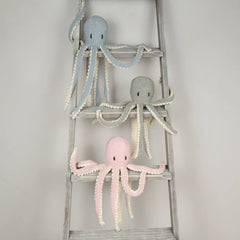 Robyn Octopus & Friends Book