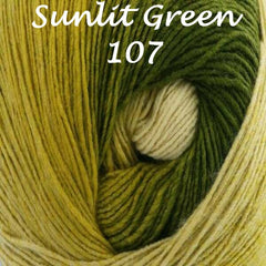 Sirdar Jewelspun Aran Ombre