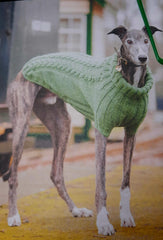 Dogs in Jumpers Book by Debbie Humphreys