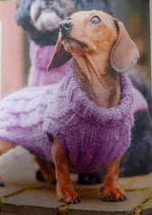 Dogs in Jumpers Book by Debbie Humphreys