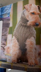 Dogs in Jumpers Book by Debbie Humphreys