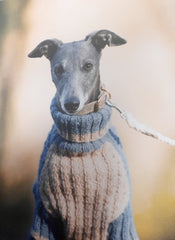 Dogs in Jumpers Book by Debbie Humphreys