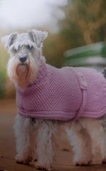 Dogs in Jumpers Book by Debbie Humphreys