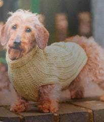Dogs in Jumpers Book by Debbie Humphreys
