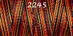 Haberdashery - Gütermann Sulky Rayon no.40 Thread 200m 1253 - 2247