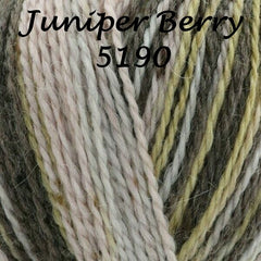 King Cole Homespun Prism DK