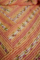 Hayfield Baby Blossom Chunky Pattern 5574 - Little Buds Blanket