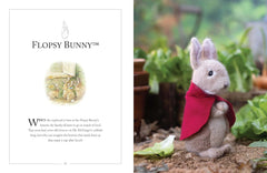 Knitting Peter Rabbit Book by Claire Garland
