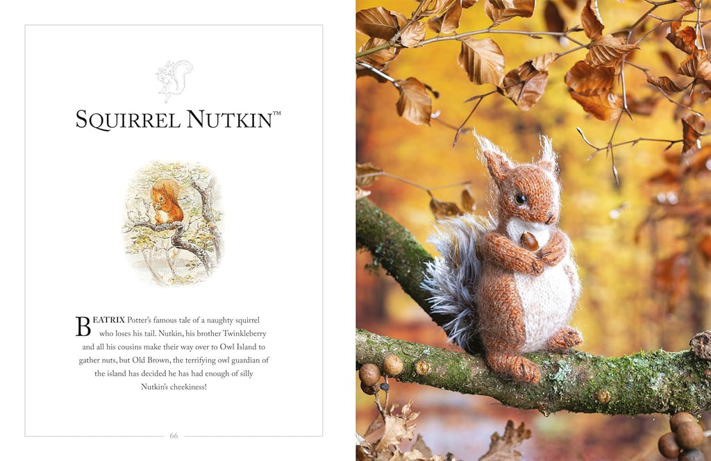 Book - Knitting Peter Rabbit by Claire Garland - Crafty