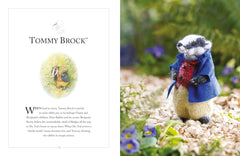 Knitting Peter Rabbit Book by Claire Garland