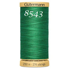 Haberdashery - Gütermann Natural Cotton 250m