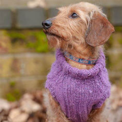 Dogs in Jumpers Book by Debbie Humphreys