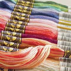 Haberdashery - DMC Mouliné Color Variations
