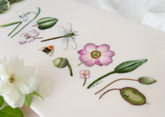 The Kew Book of Nature Samplers Embroidery Book