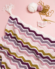 Book - The Beginner's Guide to Crochet by Claire Montgmerie