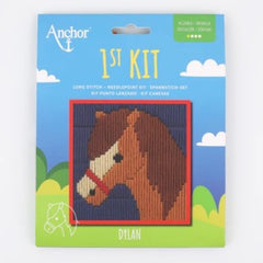 1st Kit - Long Stitch - Dylan
