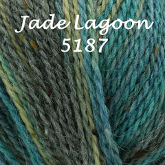 King Cole Homespun Prism DK