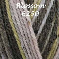 King Cole Homespun Prism Aran