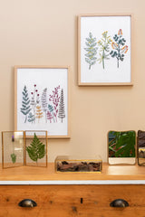 The Botanist’s Cabinet - wool thread, cross stitch and embroidery pattern book