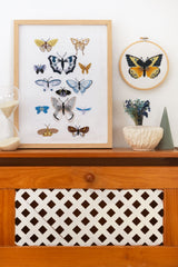The Botanist’s Cabinet - wool thread, cross stitch and embroidery pattern book