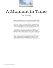 Book - Connecting with Nature - by Tilly Rose