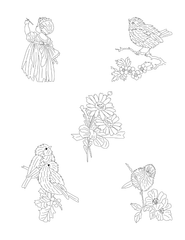 Trish Burr’s Embroidery Transfers Book: Over 70 iron-on designs