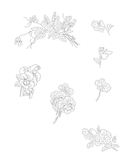 Trish Burr’s Embroidery Transfers Book: Over 70 iron-on designs