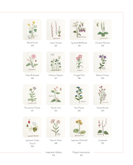 Book - Cross Stitch Wildflowers and Grasses by Hisako Nishisu