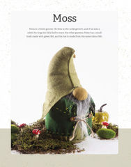 Sew Gnomes Book by Debbie Shore