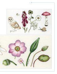 Book - Trish Burr’s Nature Embroidery Transfers
