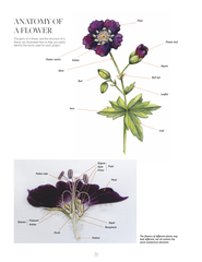 The Kew Book of Embroidered Flowers