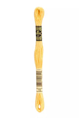 Haberdashery - DMC Embroidery Thread - Blanc to 368