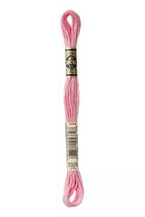 Haberdashery - DMC Embroidery Thread From 945 to 3761