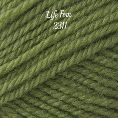 Stylecraft Life DK