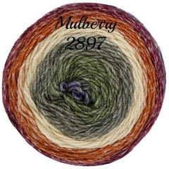 King Cole Curiosity DK