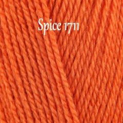 Stylecraft Special DK