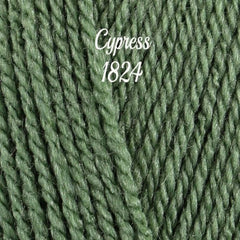 Stylecraft Special DK