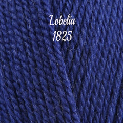 Stylecraft Special DK